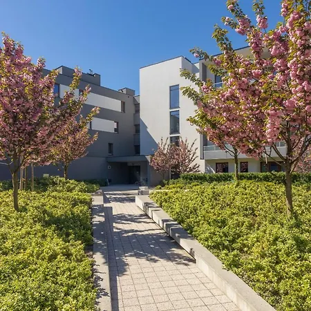 Royal Palace Elegant By Bookinghost